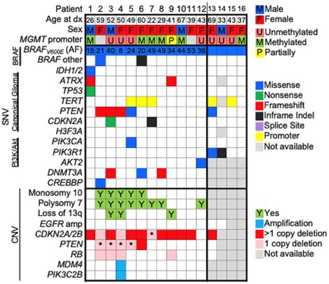 braf v600e mutation prevalence